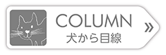 100CLUBのオリジナルフードは丸ごと主義！ 馬肉（生肉）と青魚（レトルト）を丸ごと提供しています。