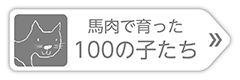 100CLUBのオリジナルフードは丸ごと主義！ 馬肉（生肉）と青魚（レトルト）を丸ごと提供しています。