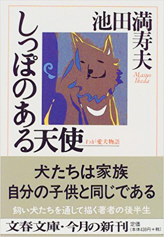 馬肉のペットフードなら100CLUB(ワンハンドレッドクラブ) 馬肉のペットフードなら100CLUB(ワンハンドレッドクラブ)