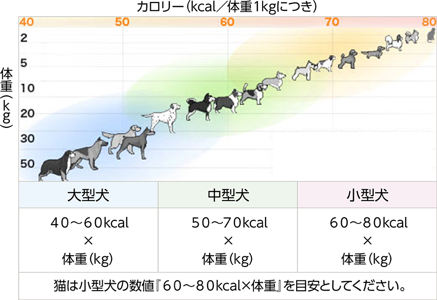 給仕にあたって